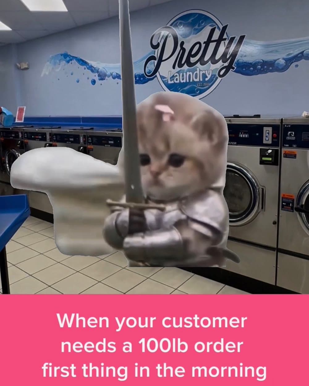Reel: a knight cat with a sword inside Pretty Laundry, captioned When your customer needs a 100lb order first thing in the morning
